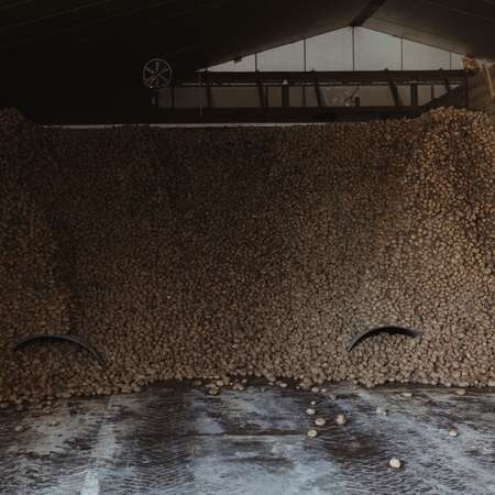 Tdunehof_004.jpg